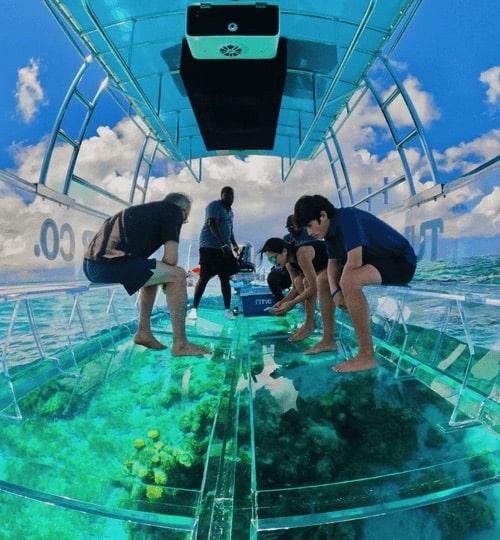 clear-boat-tour