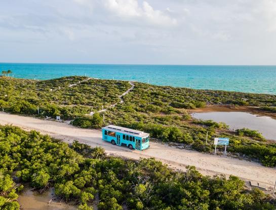 private trolley rental turks and caicos