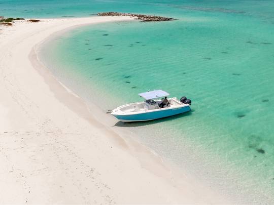 Sunset Cruise Turks and Caicos