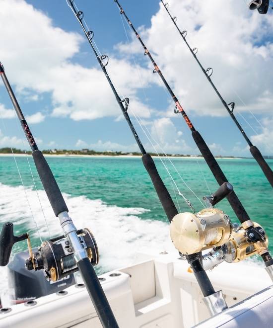 half day boat charter turks caicos