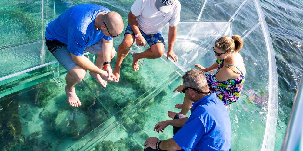clear bottom boat tour turks and caicos