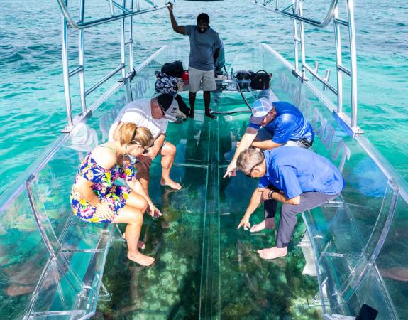 Turks and Caicos Clear Boat Excursion