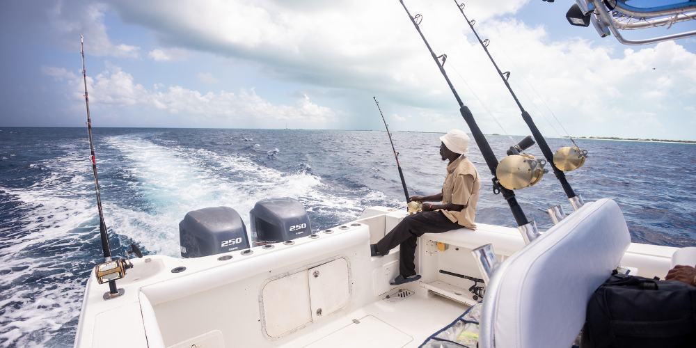 Turks and Caicos Excursions