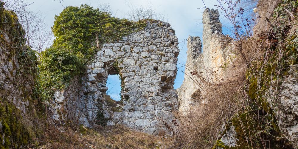 Turks and Caicos Excursions