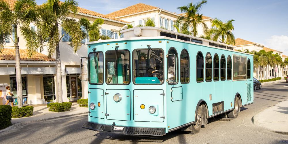 Turks and Caicos Excursions