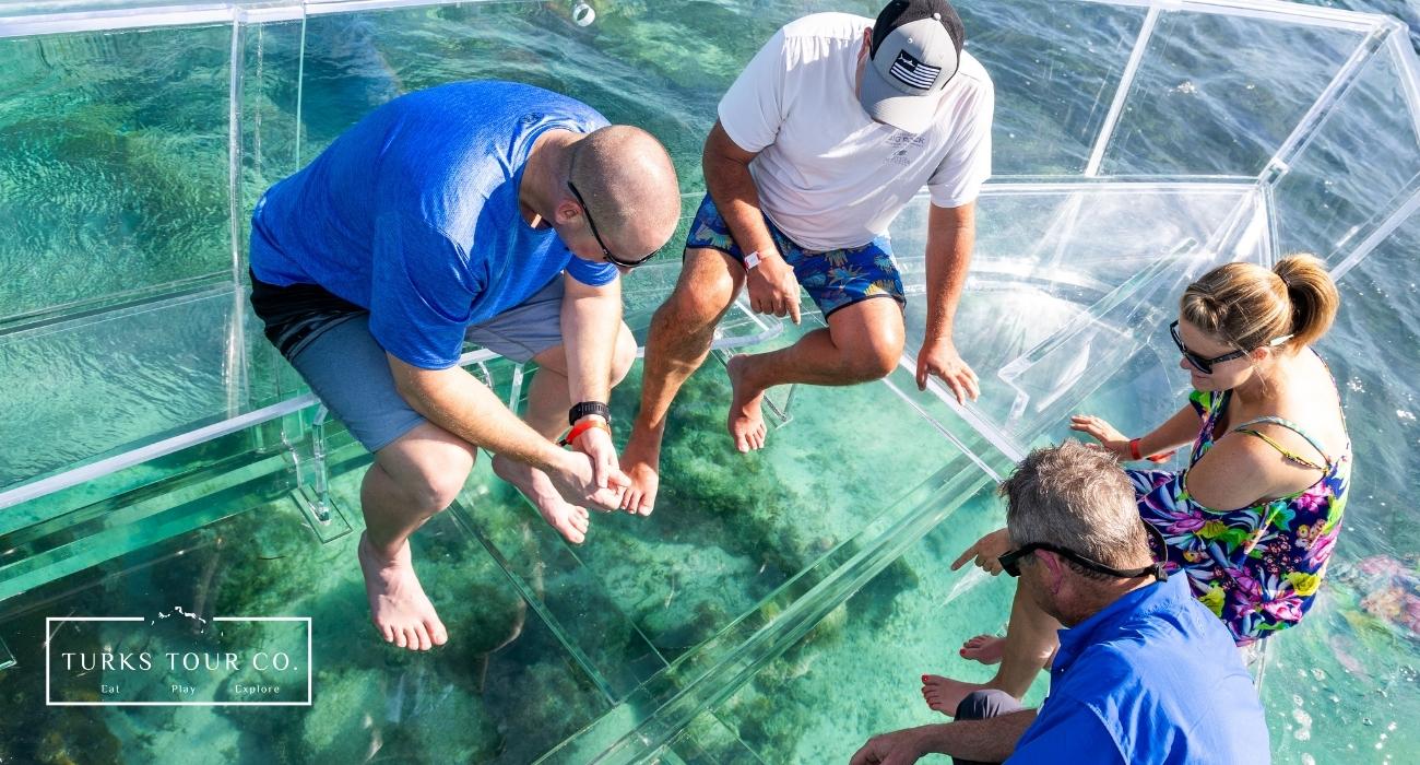 Private Glass Bottom Boat Tours in Turks and Caicos