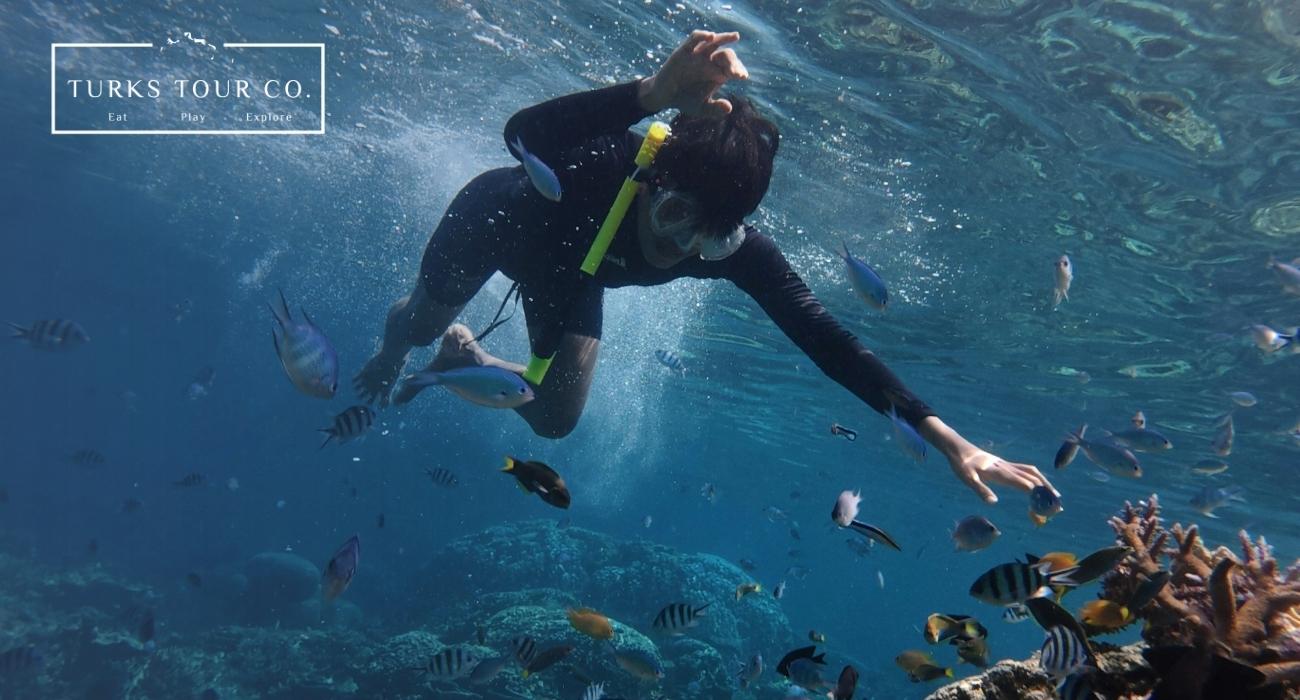 Turks and Caicos Barrier Reef Snorkeling