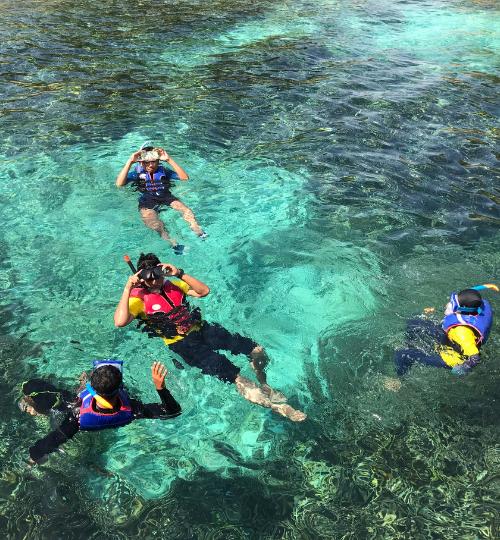 snorkeling tours turks and caicos