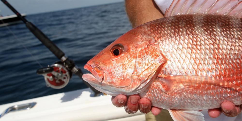 bottom fishing turks and caicos