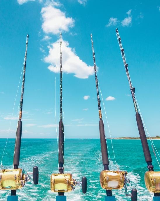 turks and caicos bottom fishing excursion